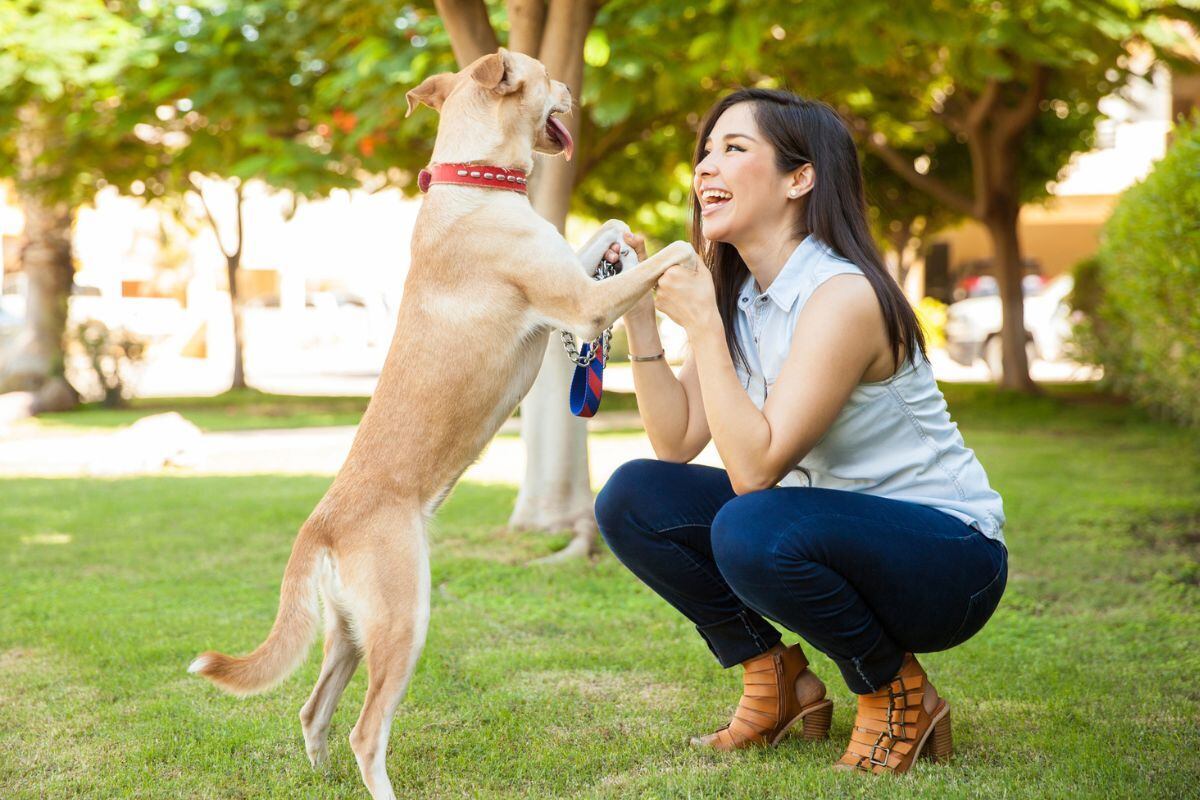 No se trata de castigarlo, hay que ver otras formas de motivarlo. Foto: iStock.