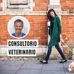 Fenómeno de El Niño: ¿cómo proteger a tus mascotas ante el cambio de clima?
