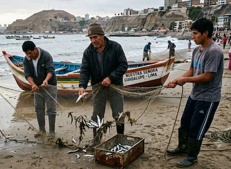 Chorrillos en alerta: escasez de pescado golpea a pescadores y provoca desabastecimiento de hasta 80%