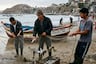 Chorrillos en alerta: escasez de pescado golpea a pescadores y provoca desabastecimiento de hasta 80%