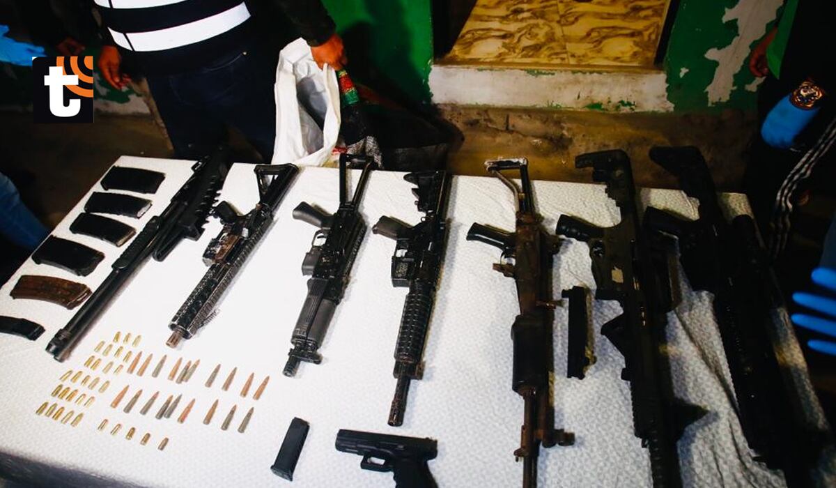 Piraña. Foto :@photo.gec