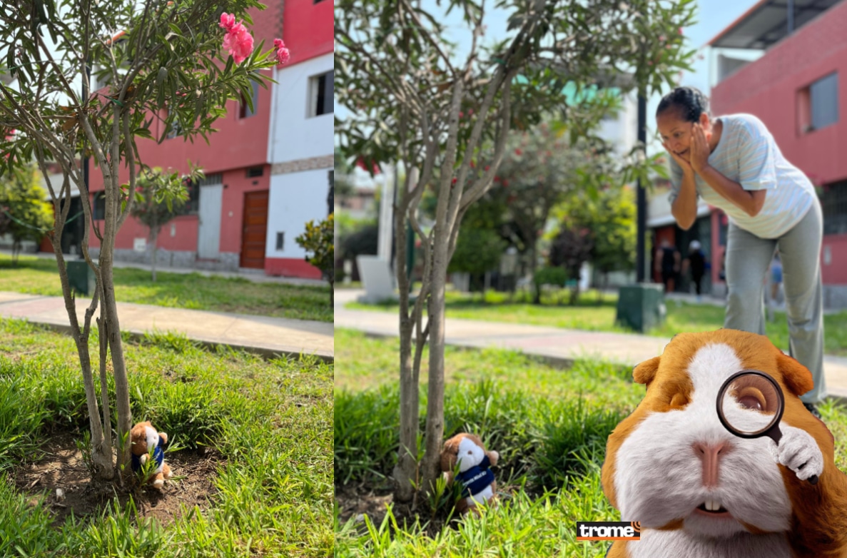 Por sus 136 años, el Banco de Crédito lanza dinámica en lugares públicos de diez ciudades del país. (Compos. Isabel Medina / Trome)