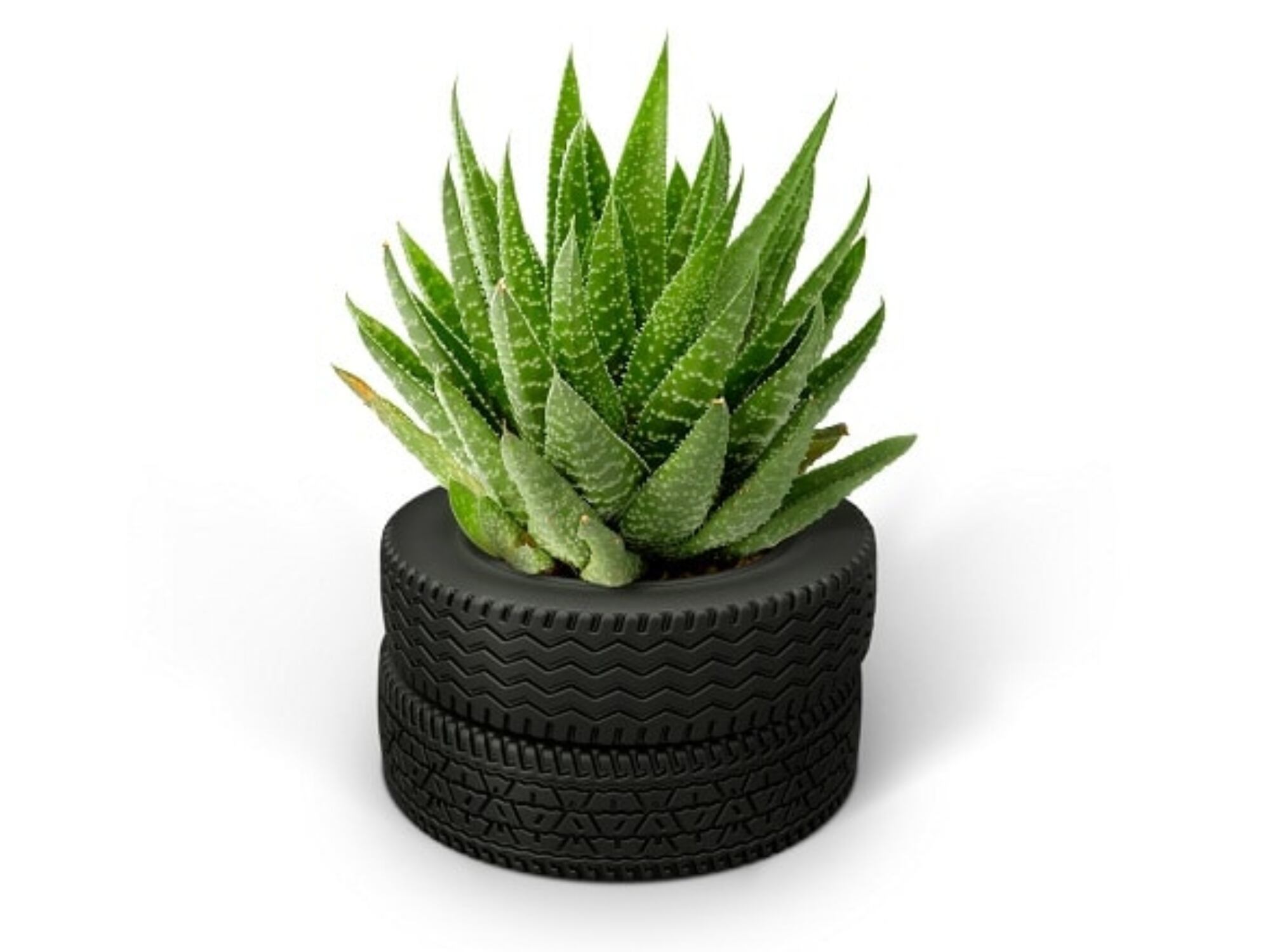 El elemento que faltaba en su mesa de escritorio, de todas maneras.