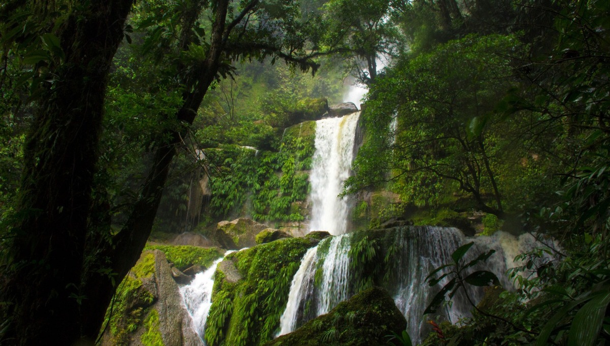 Esta medida promoverá el desarrollo sostenible y generará beneficios para las comunidades locales