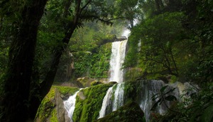 Acuerdo entre Perú y Singapur impulsará el desarrollo de proyectos de carbono