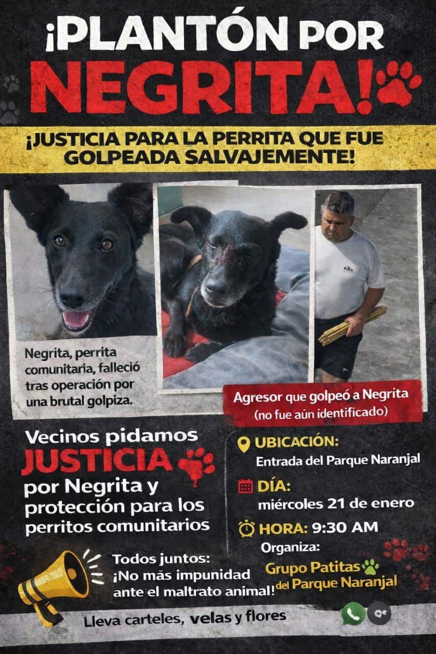 Vecinos exigen sanción contra este sujeto por el delito de Maltrato animal. (Facebook)