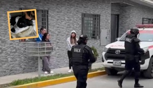 Huaral: Arrojan explosivo en casa de periodista; pero perrita lo apaga | VIDEO