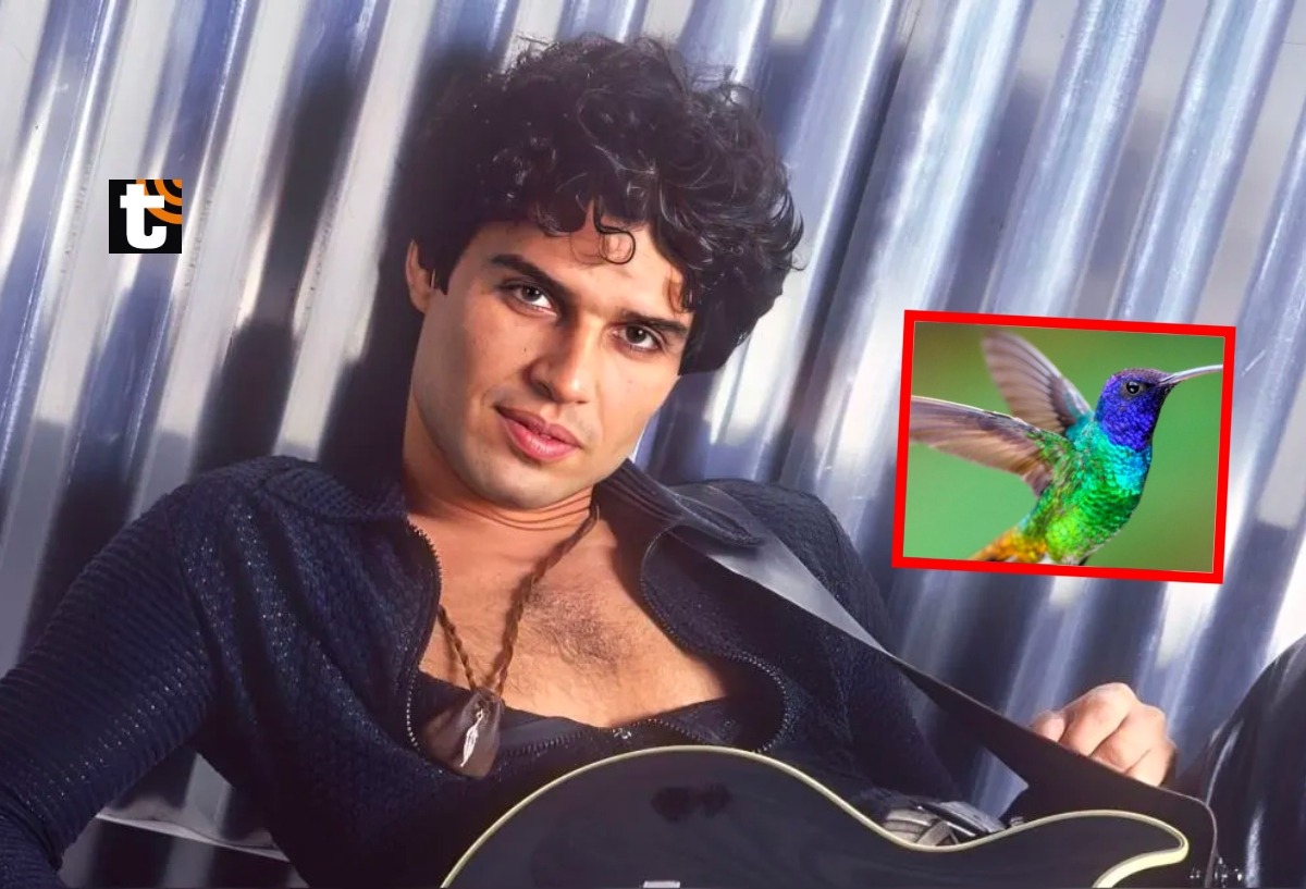 Cynthia emocionada porque vio a Pedro Suárez Vértiz en forma de colibrí