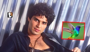 Pedro Suárez Vértiz apareció en forma de colibrí, según su esposa Cynthia: “Eras libre de toda enfermedad”