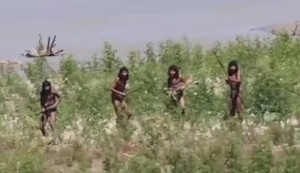 Revelan imágenes de tribu de no contactados por primera vez | VIDEO
