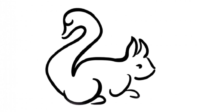 Dependiendo si ves un cisne o una ardilla conocerás algo indiscutible de tu forma de ser. (MisionesCuatro/Facebook)