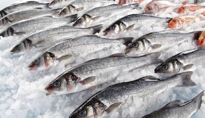 Consejos para conservar el pescado este verano