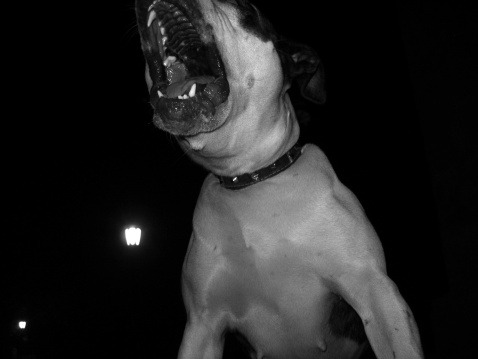 Imagen referencial. (Getty)