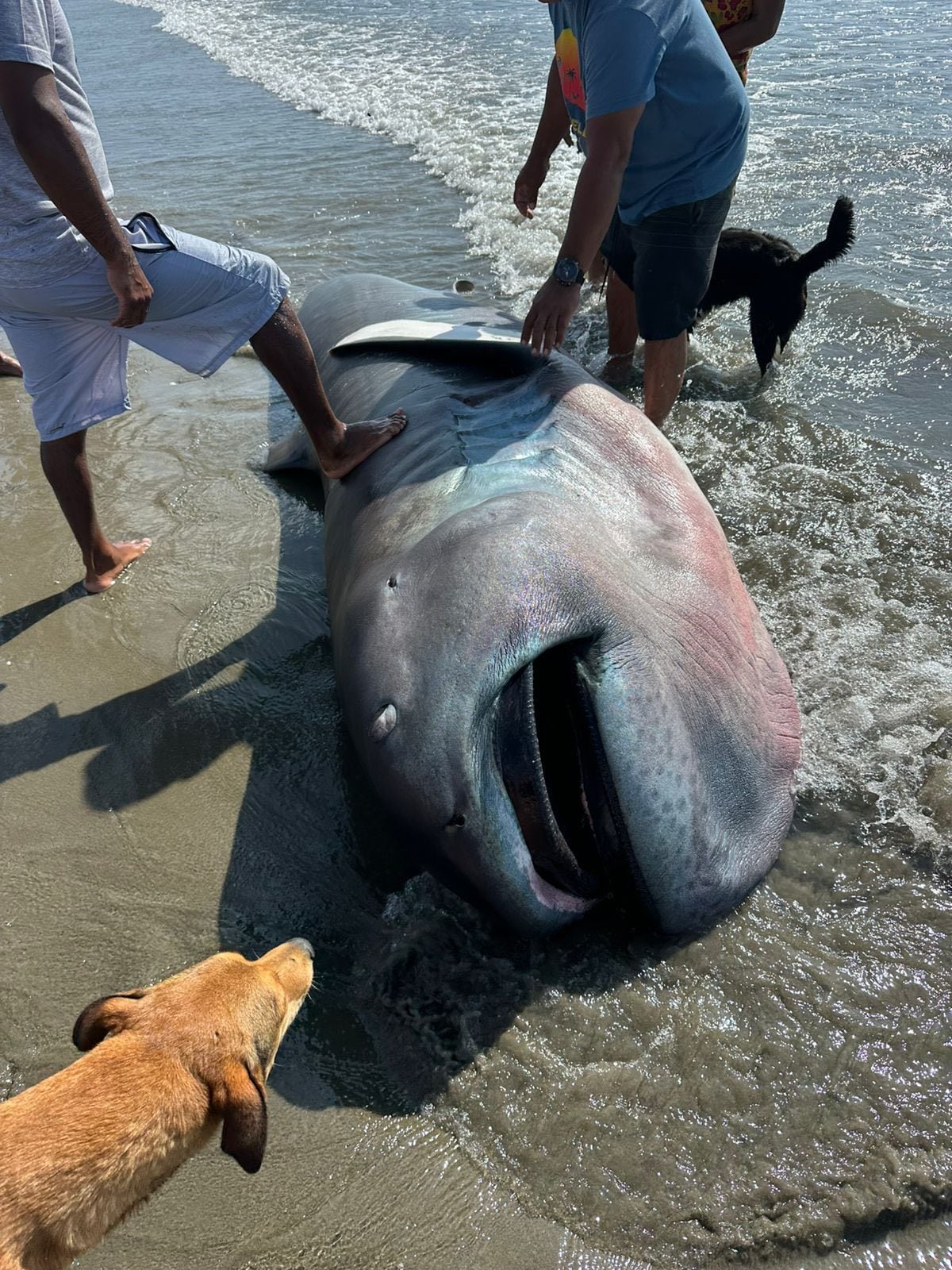 Foto: Prial Photography