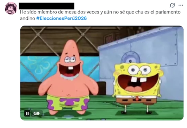 Cibernauras invadieron las redes con los memes en la primera vuelta de estas Elecciones 2026.