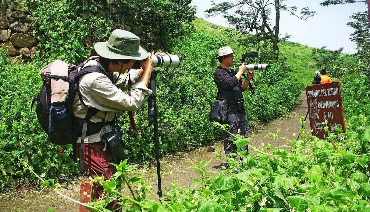 Las Lomas de Lachay : un lugar perfecto para conocer la flora y fauna del lugar. (Foto: GEC)