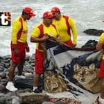 Hallan cadáver de desaparecido en playa Waikiki