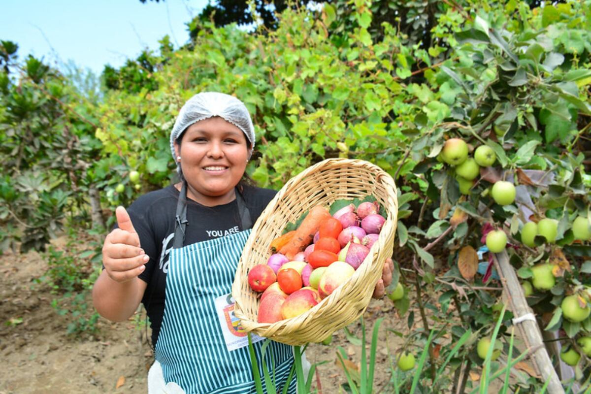 Olla común en Chincha