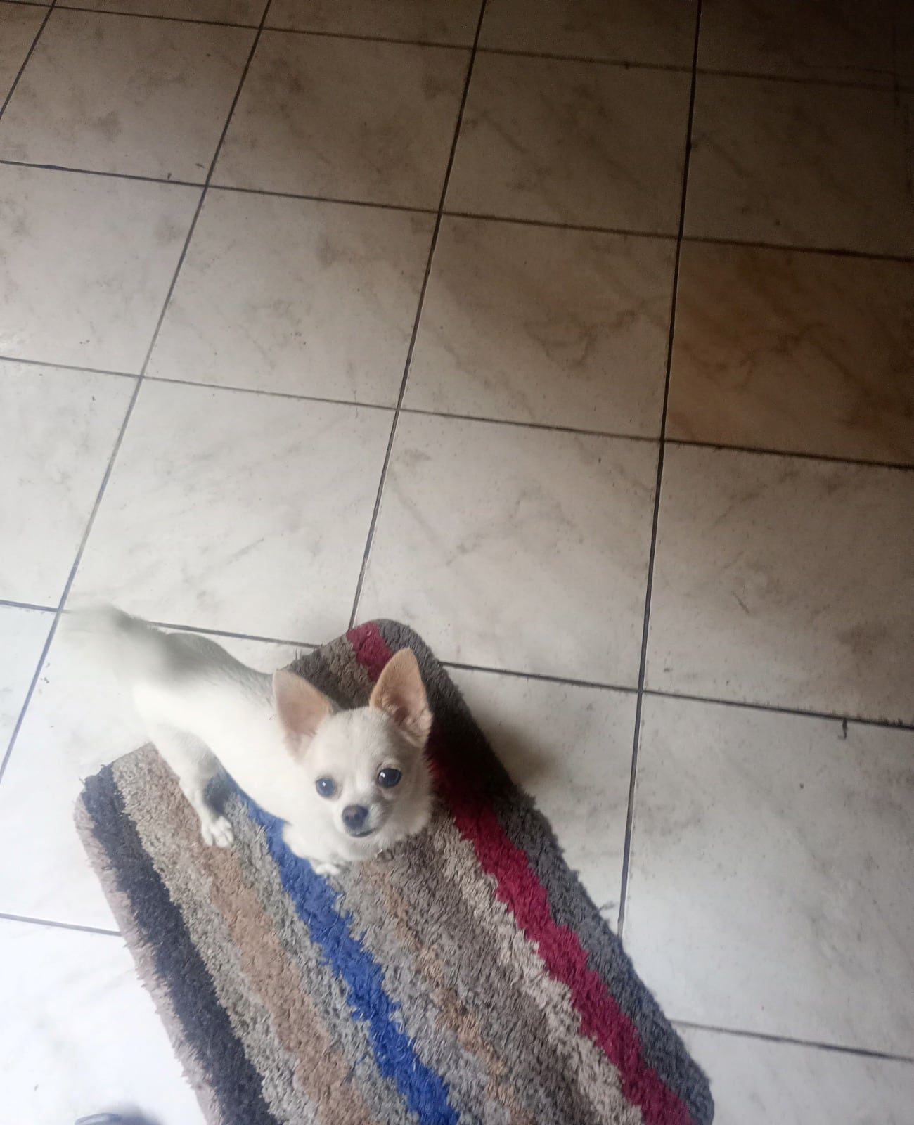 NINA.