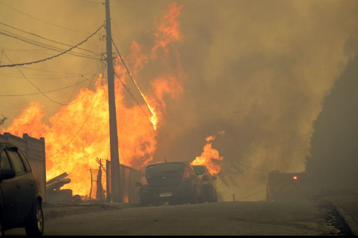 Incendio forestal hizo recordar tragedia del 2024 (Foto: AFP)