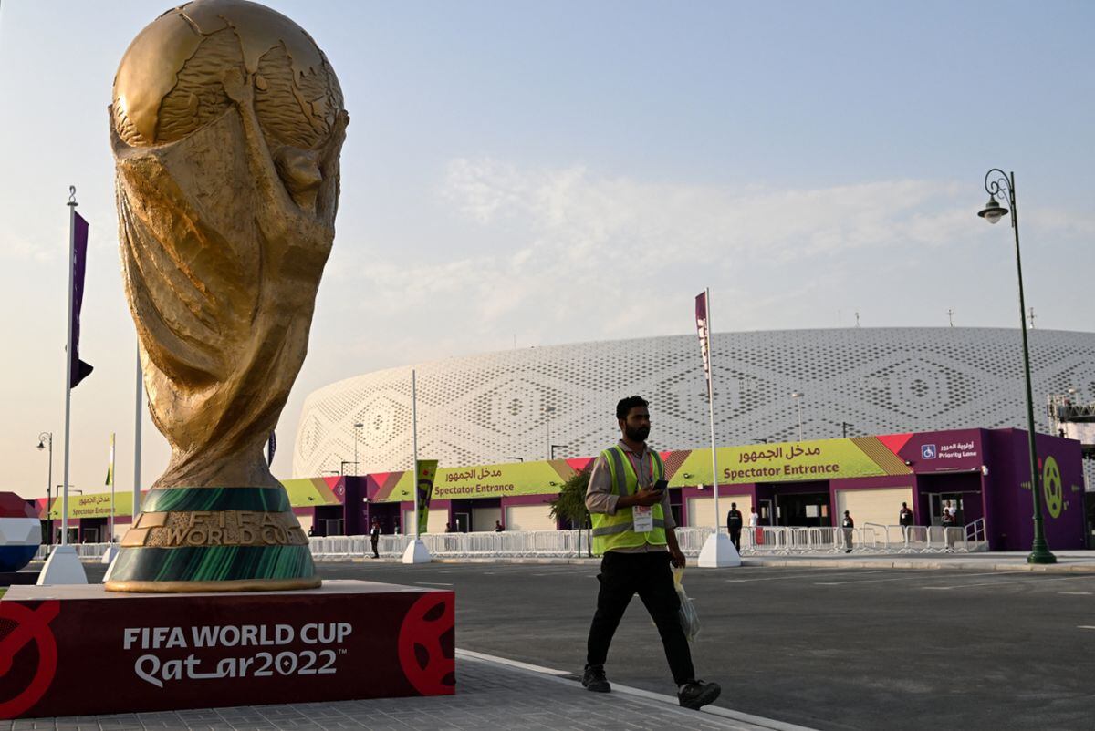 Contagios del virus del camello puede aumentar en la Copa del Mundo de Qatar (Foto: AFP)