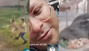 ¡Indignante!: TikTokers agreden a animales del Parque de las Leyendas de Huachipa por un ‘reto viral’ | VIDEO