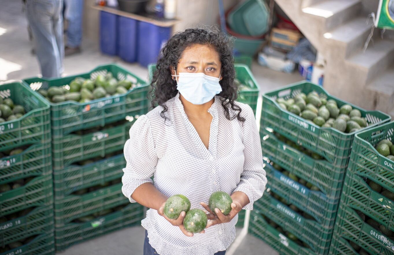 De esta manera, se han atendido casi 3 000 hectáreas dedicadas a este cultivo en las regiones Junín, Ica, Huancavelica, Arequipa, Moquegua, Apurímac, entre otras. (Foto: Midagri)