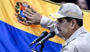 Un gorila ladrón en Venezuela