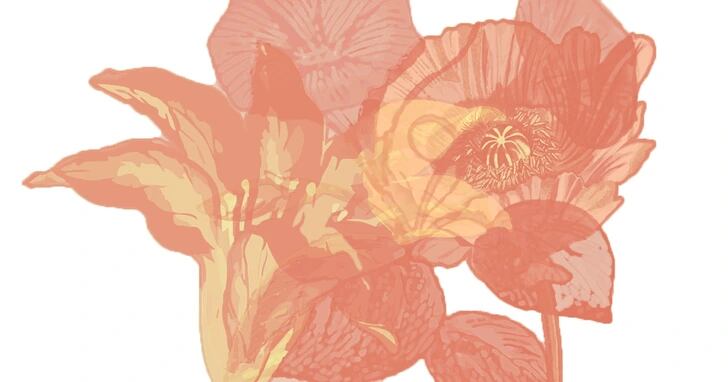 ¿Qué flor viste primero en esta imagen de ilusión óptica? (Foto: genial.guru)