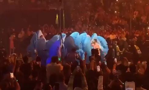 Bad Bunny: Fans se disfrazan de tiburones en su concierto