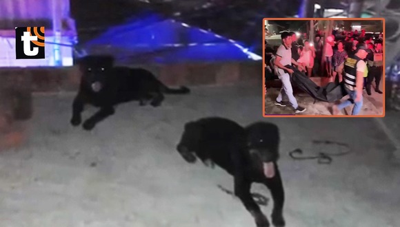 Niño muere a causa de mordida de perros en Pucallpa