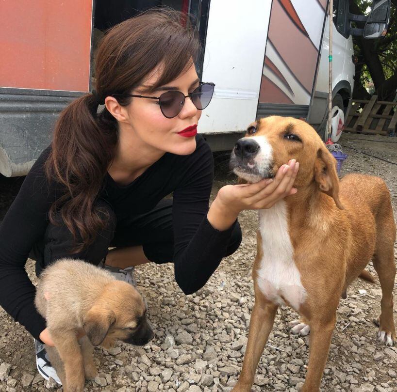 Los canes tuvieron crías en el set de grabación (Foto: Hilal Altinbilek / Instagram)