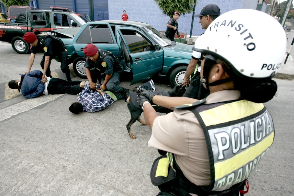 Pedido del gobierno busca reducir la delincuencia. (Foto: Andina)