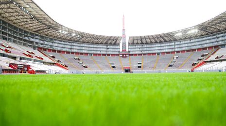 Alfombra para el ‘chocolate’