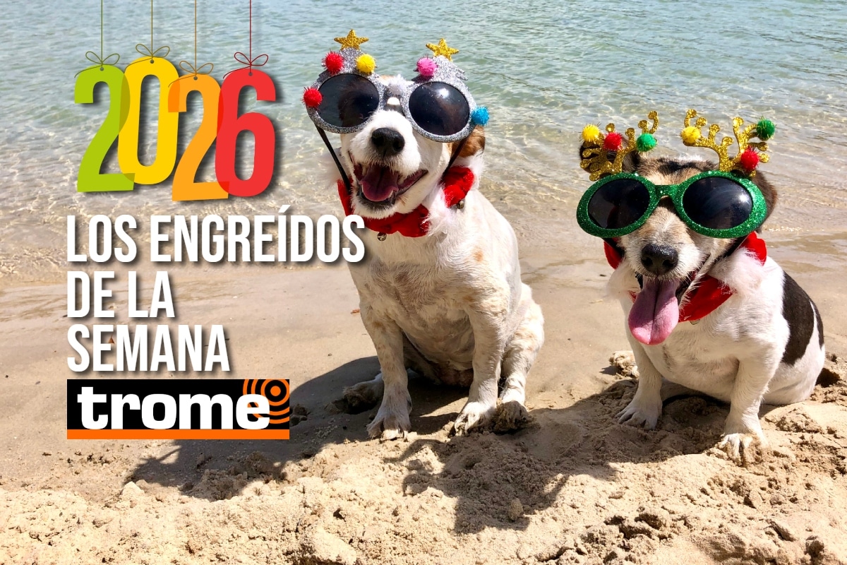 El 2026 empieza con travesuras y mucho amor. Mira las fotos de las mascotas enviadas por los lectores de Trome. Foto: Istock.