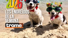 ¡Travesuras, amor y ternura! Conoce a los primeros engreídos del 2026