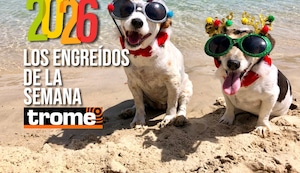 ¡Travesuras, amor y ternura! Conoce a los primeros engreídos del 2026