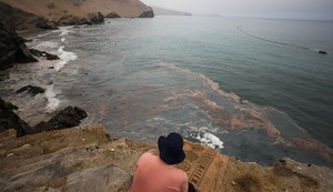 Verano 2025: Prácticas sostenibles y tecnologías innovadoras en la pesca para cuidar nuestros recursos marinos