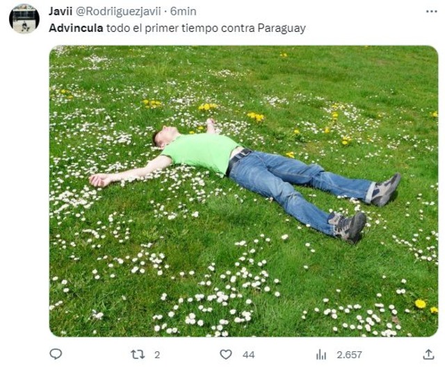Hinchas peruanos se volcaron a las redes para compartir los más hilarantes memes del Perú vs. Paraguay