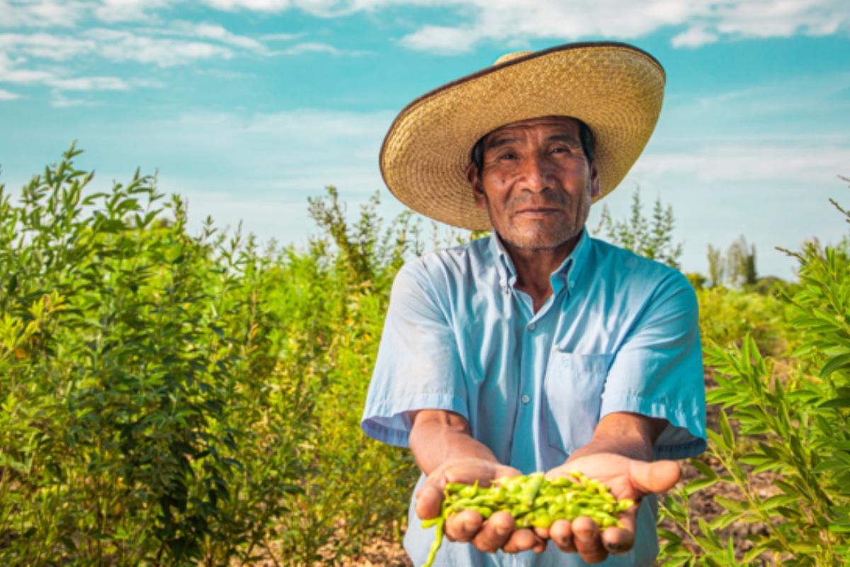 Norma garantizará la seguridad alimentaria, el bienestar social y la sostenibilidad en el Perú