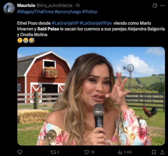 Salieron divertidos memes del ampay a Mario Irivarren y Said Palao. (Redes sociales)