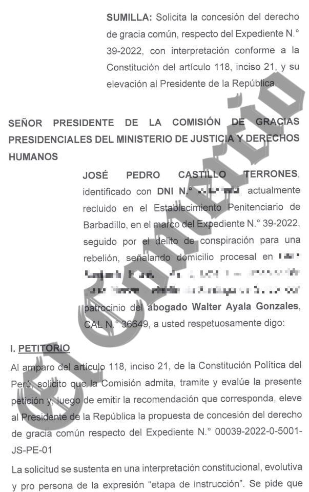 Pedido de Pedro Castillo para obtener la gracia común en medio de su apelación contra su sentencia por golpe de Estado.