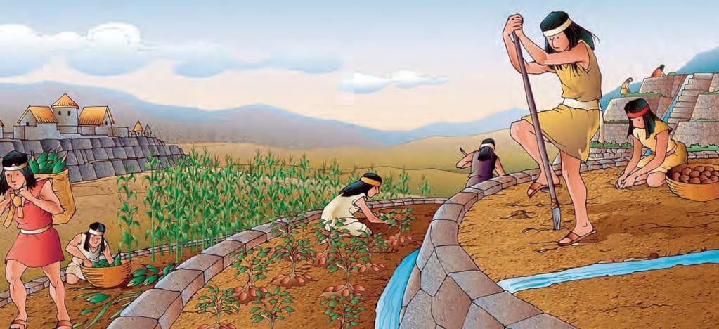 Eran grandes agricultores.