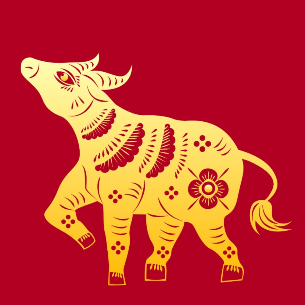 Buey, búfalo o toro.