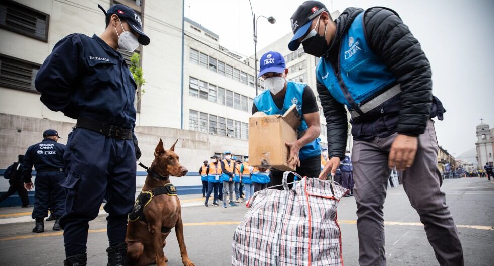 Perritos de la Brigada Canina, especializados en detección de pirotécnicos, ayudarán en el Plan de Seguridad en Lima por fiestas de Navidad y fin de año.