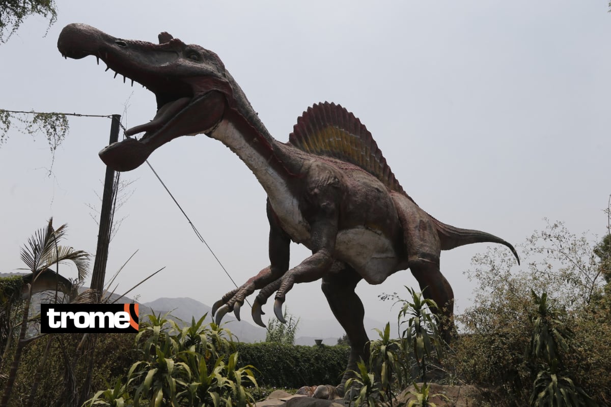 Visitantes podrán recorrer la 'Zona Dino', donde hay 22 figuras animatrónicas de dinosaurios. Foto: Violeta Ayasta