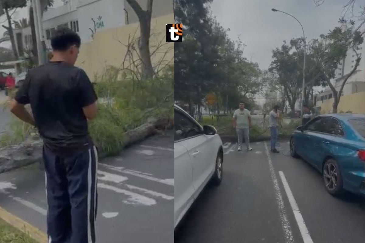 El hecho ocurrió a la altura del hotel Meliá, ubicado en la avenida Salaverry, alrededor de las 11 de la mañana.