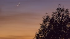 Luna Nueva en Tauro: El ritual de tres pasos para atraer dinero, iniciar proyectos o negocios