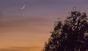 Luna Nueva en Tauro: El ritual de tres pasos para atraer dinero, iniciar proyectos o negocios