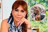 Magaly y su fuerte mensaje tras publicación de Farfán: “Si ser mala es no permitir que nadie venga a jod... entonces lo soy”